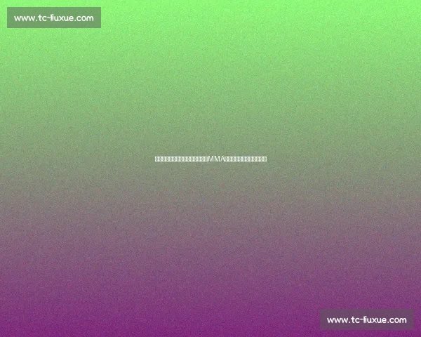 安德森席尔瓦对决松恩巅峰恩怨与MMA历史经典之战回顾全景解析