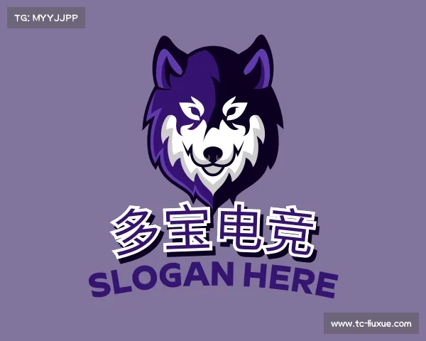 介绍&#x591a;&#x5b9d;&#x7535;&#x7ade;